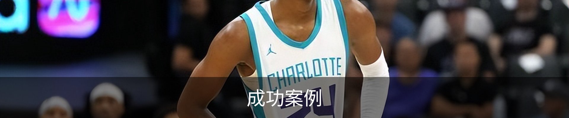成功案例